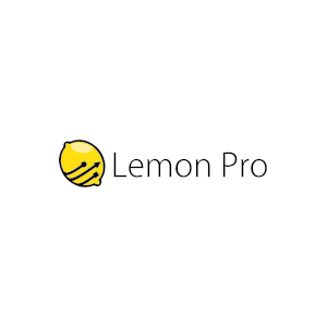 Kompleksowe usługi informatyczne - Opieka informatyczna dla firm - LEMON PRO